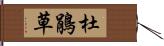 杜鵑草 Hand Scroll