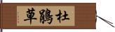 杜鵑草 Hand Scroll