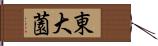 東大薗 Hand Scroll