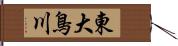 東大鳥川 Hand Scroll