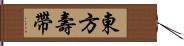 東方壽帶 Hand Scroll