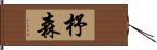 杼森 Hand Scroll