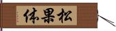 松果体 Hand Scroll