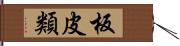 板皮類 Hand Scroll