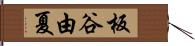 板谷由夏 Hand Scroll