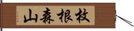 枚根森山 Hand Scroll