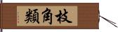 枝角類 Hand Scroll