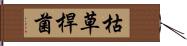 枯草桿菌 Hand Scroll