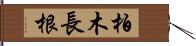 柏木長根 Hand Scroll