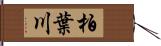 柏葉川 Hand Scroll