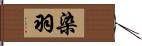 染羽 Hand Scroll