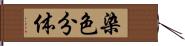 染色分体 Hand Scroll