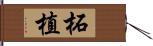 柘植 Hand Scroll