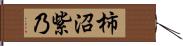 柿沼紫乃 Hand Scroll