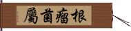 根瘤菌屬 Hand Scroll