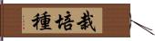 栽培種 Hand Scroll