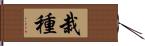 栽種 Hand Scroll