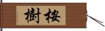 桉樹 Hand Scroll