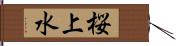 桜上水 Hand Scroll