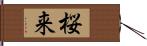 桜来 Hand Scroll