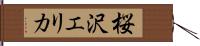 桜沢エリカ Hand Scroll