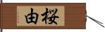 桜由 Hand Scroll