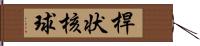 桿状核球 Hand Scroll
