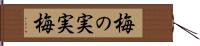 梅の実 Hand Scroll