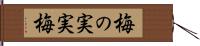 梅の実;実梅 Hand Scroll