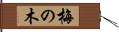 梅の木 Hand Scroll