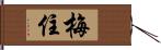 梅住 Hand Scroll