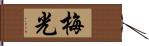 梅光 Hand Scroll