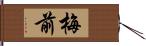 梅前 Hand Scroll