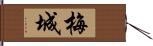 梅城 Hand Scroll