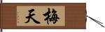 梅天 Hand Scroll