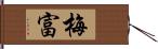 梅富 Hand Scroll