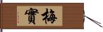 梅實 Hand Scroll