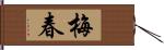 梅春 Hand Scroll