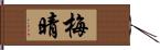 梅晴 Hand Scroll