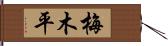 梅木平 Hand Scroll