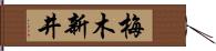 梅木新井 Hand Scroll