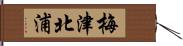 梅津北浦 Hand Scroll