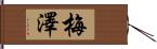 梅澤 Hand Scroll