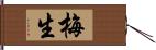 梅生 Hand Scroll