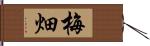 梅畑 Hand Scroll