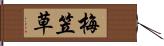 梅笠草 Hand Scroll