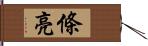 條亮 Hand Scroll