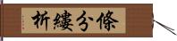 條分縷析 Hand Scroll