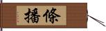 條播 Hand Scroll