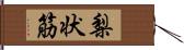 梨状筋 Hand Scroll